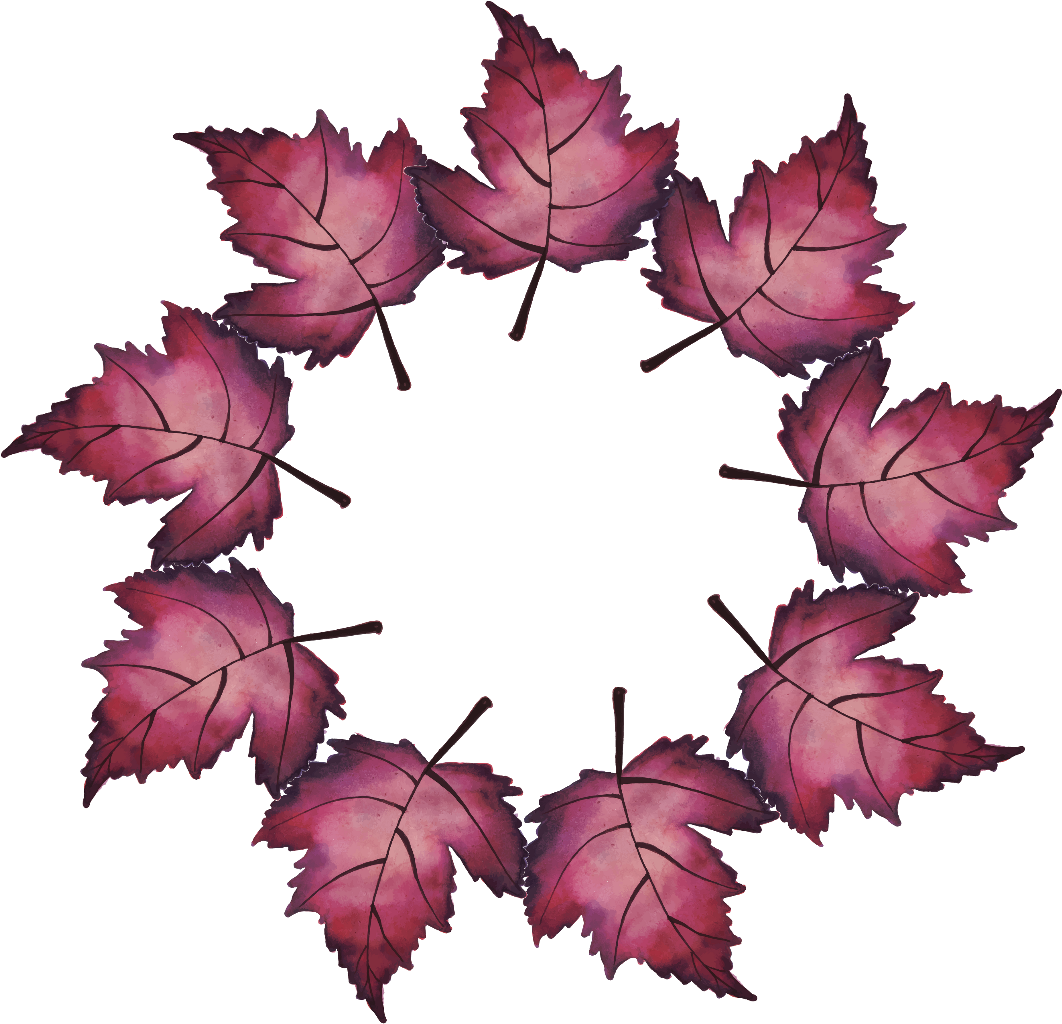 Circular Arrangementof Autumn Leaves PNG Image