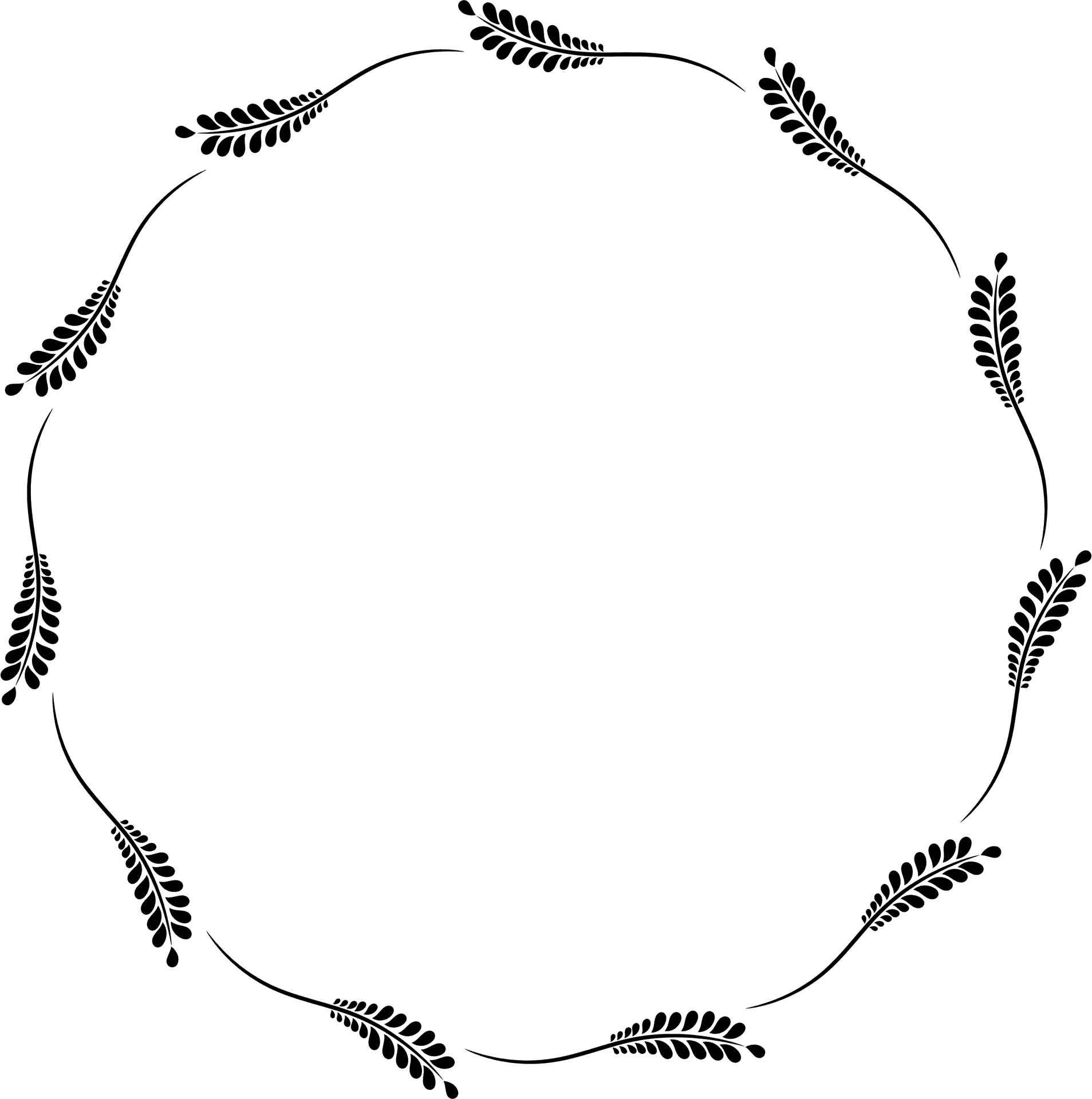 Circular Vine Frame Design PNG Image