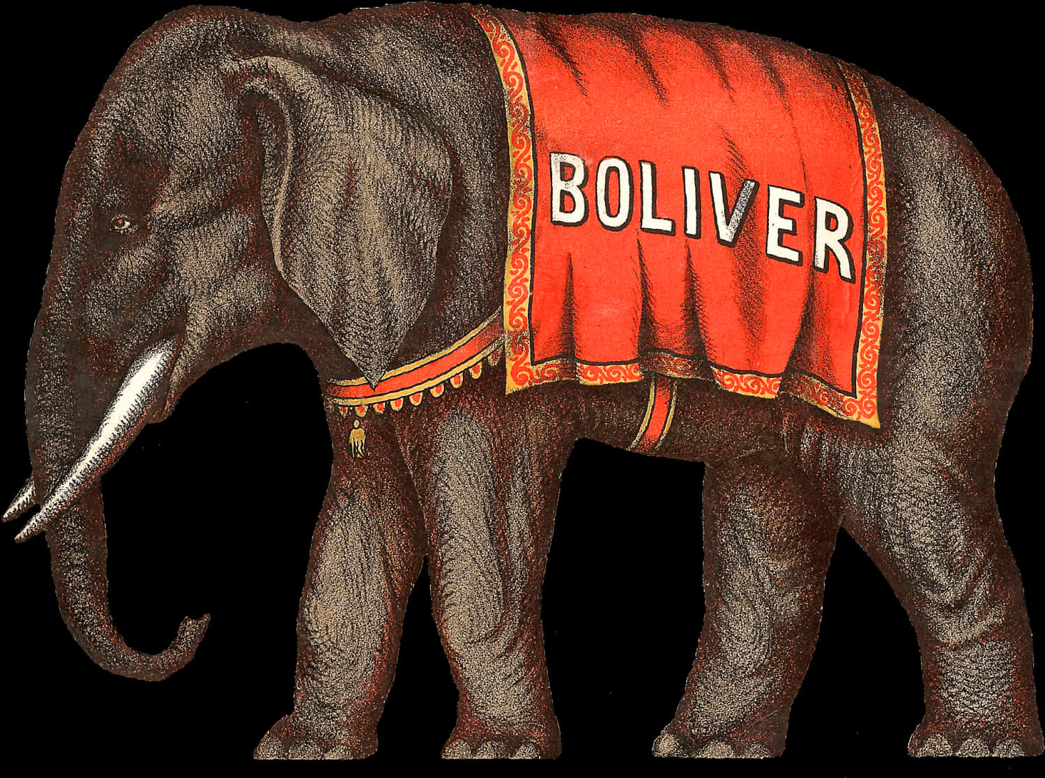 Circus Elephant Boliver Illustration PNG Image