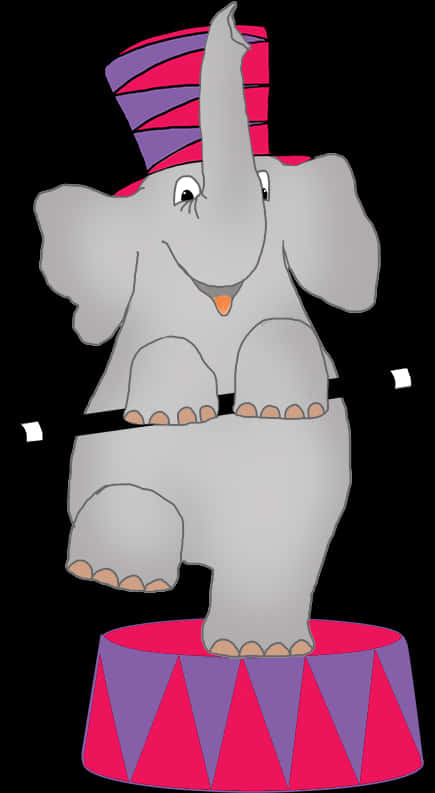 Circus Elephant Cartoon Illustration PNG Image