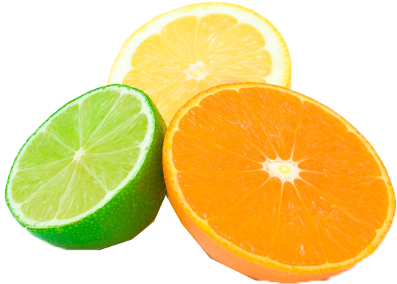 Citrus Fruit Slices Transparent Background PNG Image