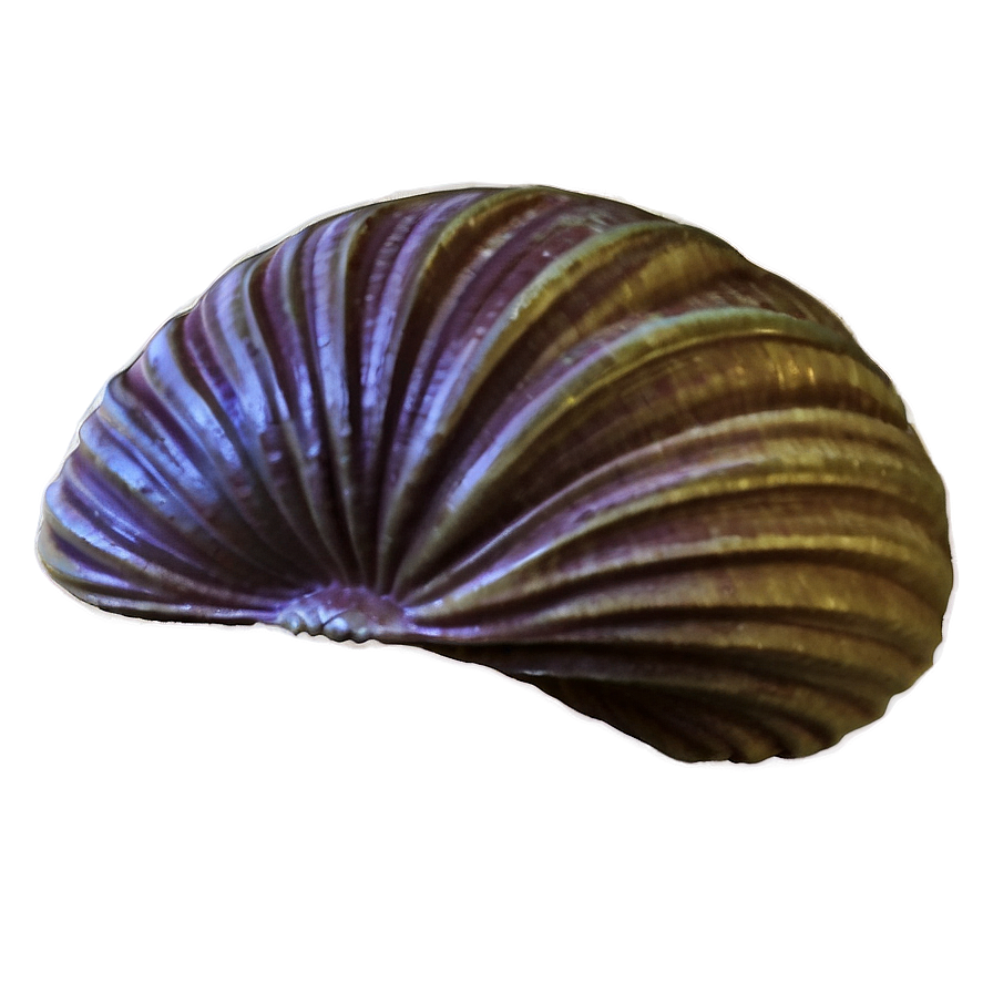 Clam Silhouette Png Ksl PNG Image