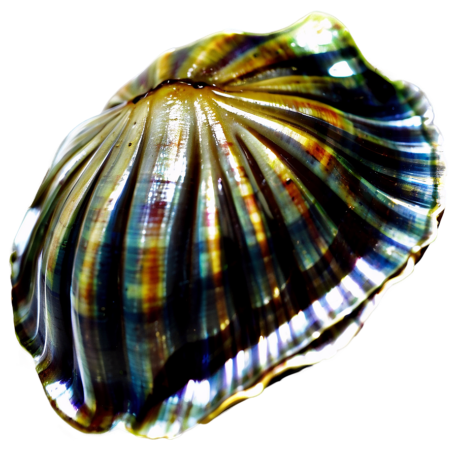 Clam Silhouette Png Quy PNG Image