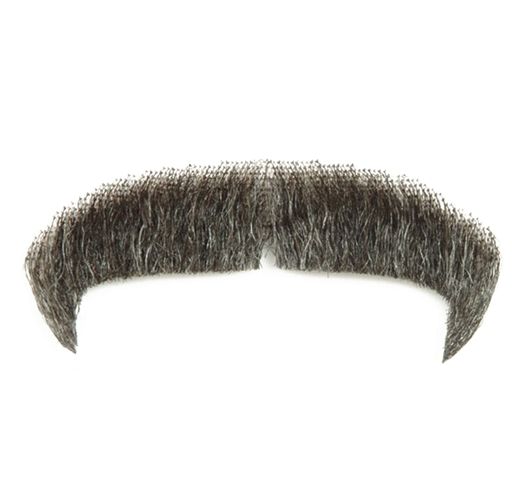 Classic Black Moustache Isolated PNG Image