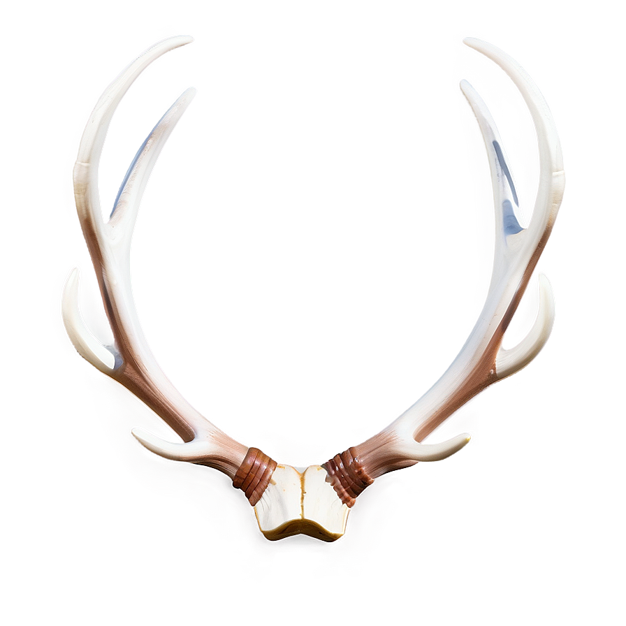 Classic Deer Antler Image Png 06122024 PNG Image