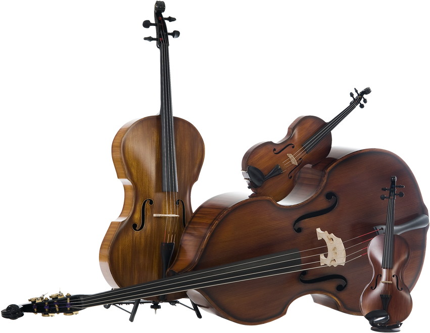 Classic_ String_ Instruments_ Collection PNG Image