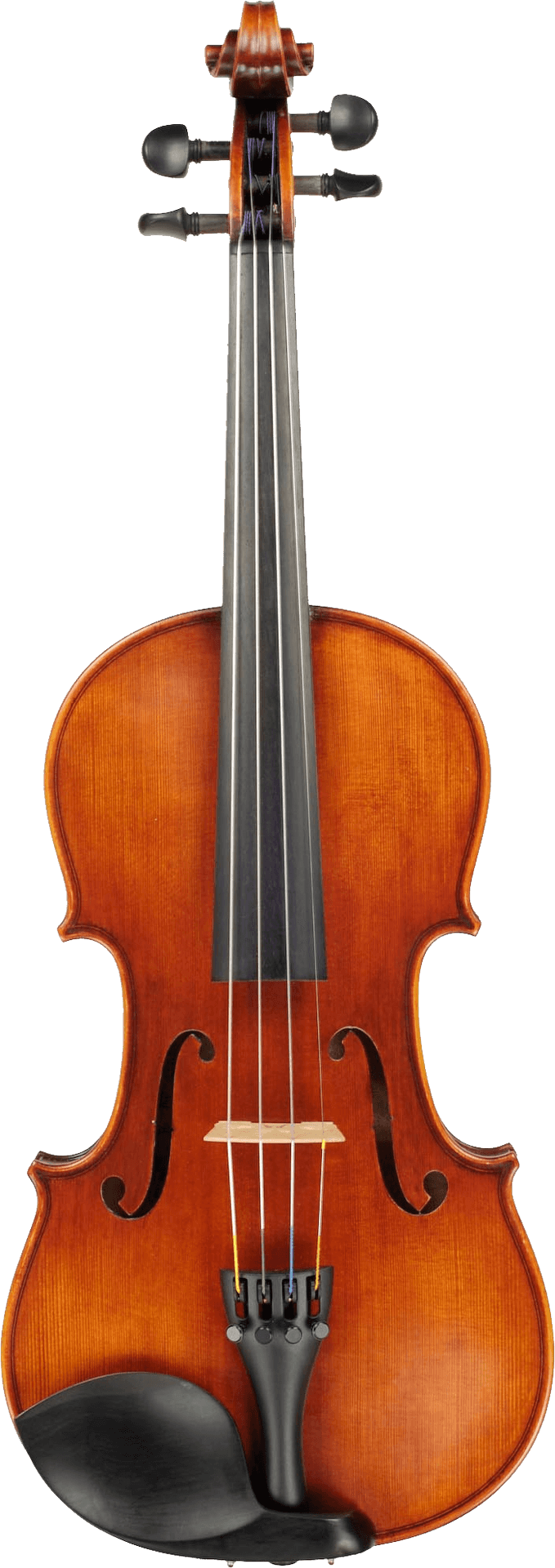 Classic Violin Portrait PNG Image