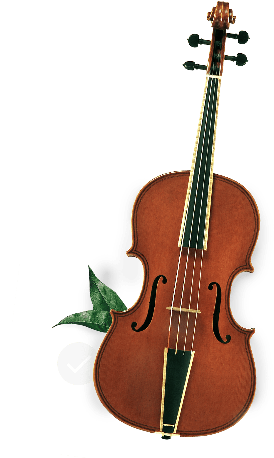 Classic Violinwith Green Leaves PNG Image