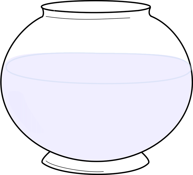 Clear Glass Bowl Half Fullof Water PNG Image