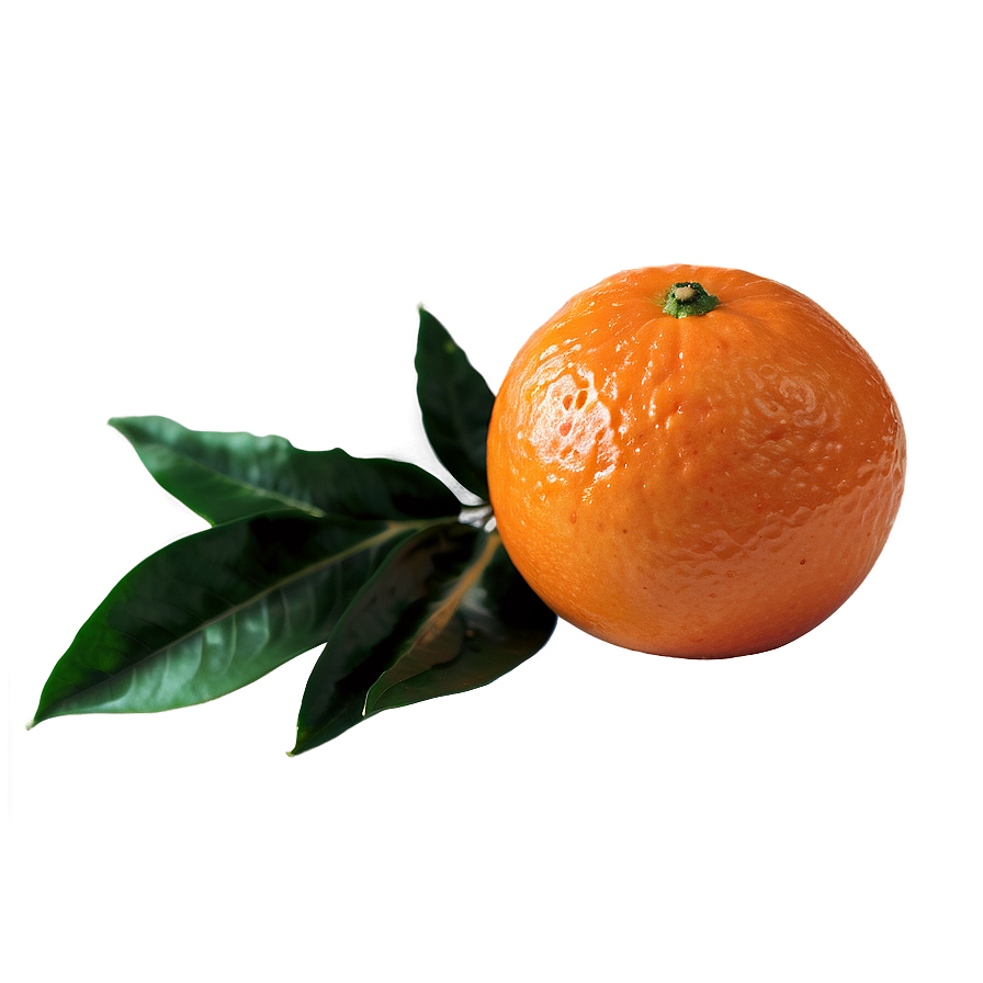 Clementine Half Cut Png 21 PNG Image