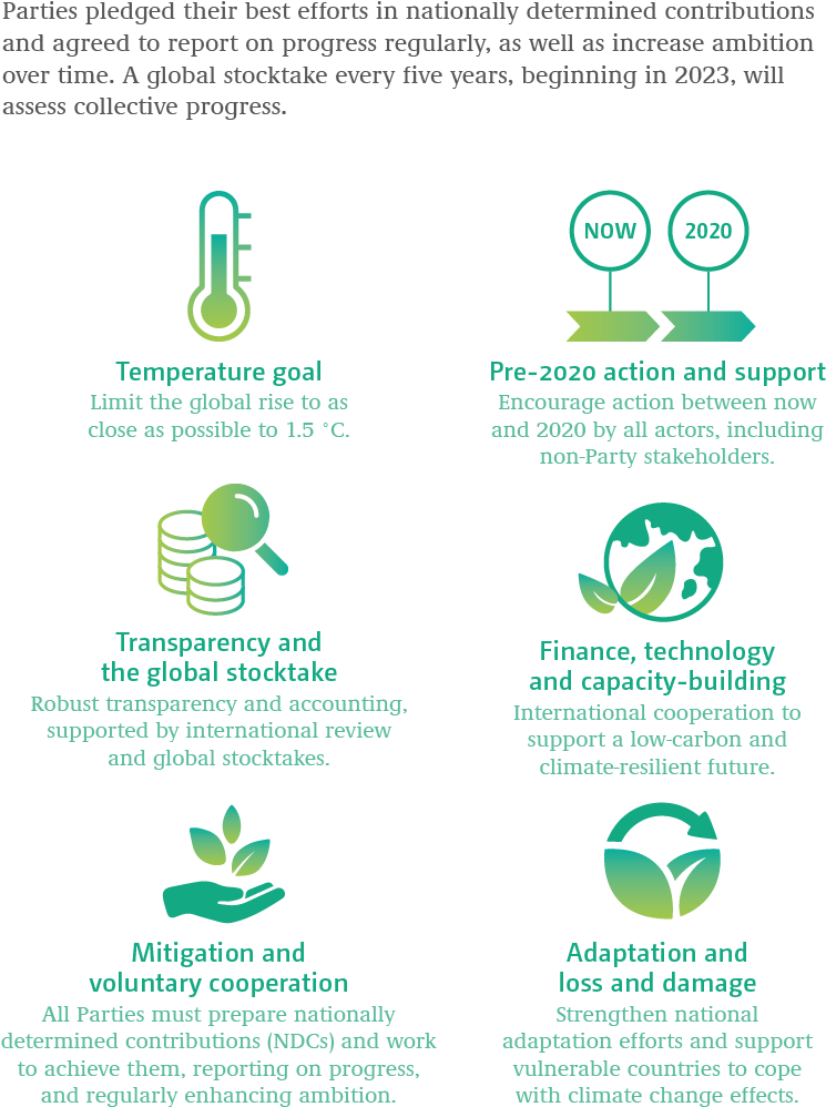 Climate_ Action_ Infographic PNG Image