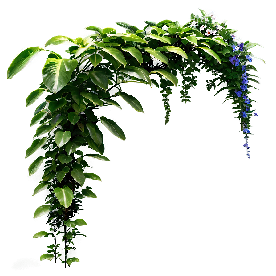 Climbing Plants Png 46 PNG Image