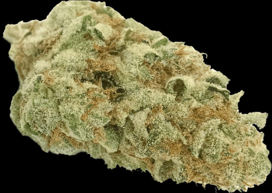 Close Up Cannabis Bud Quality PNG Image