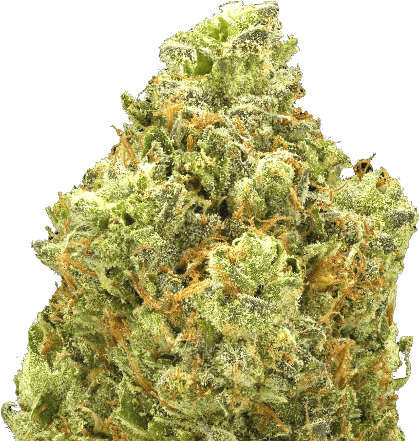 Close Up Cannabis Bud Quality PNG Image