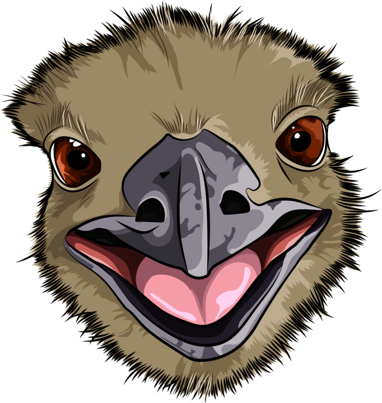 Close Up Cartoon Emu Face PNG Image