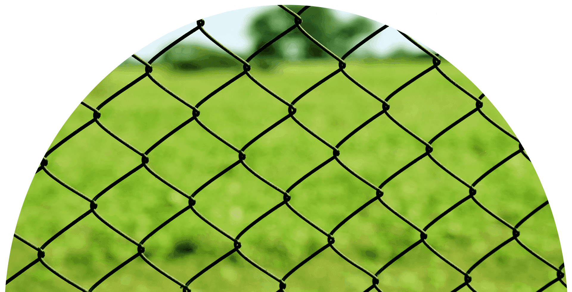 Close Up Chain Link Fence Green Background PNG Image