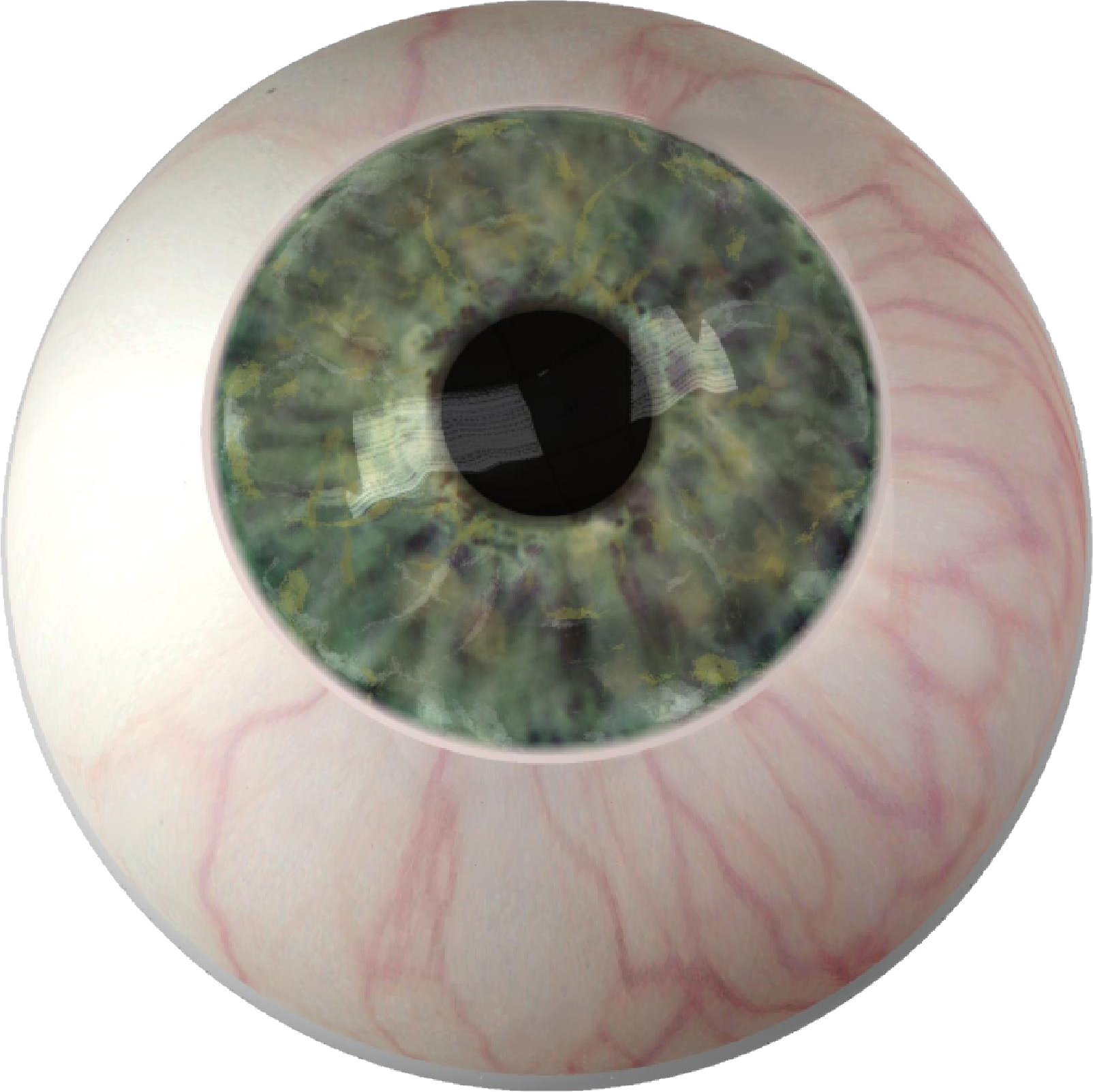 Close Up Human Iris PNG Image