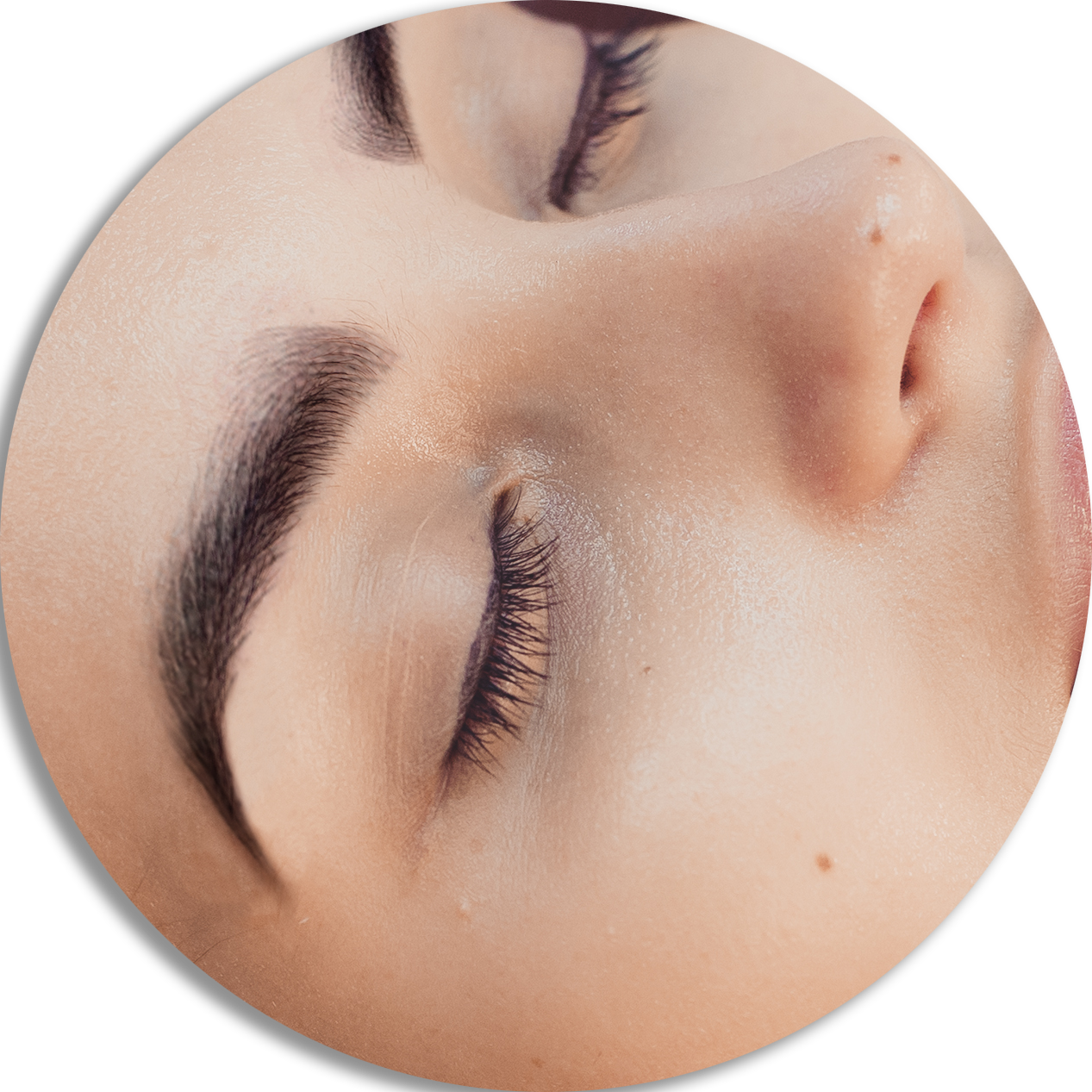 Closeup Beauty Facial Features Eyes Closed PNG Image