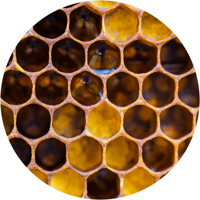 Closeup Honeycomb Texture PNG Image