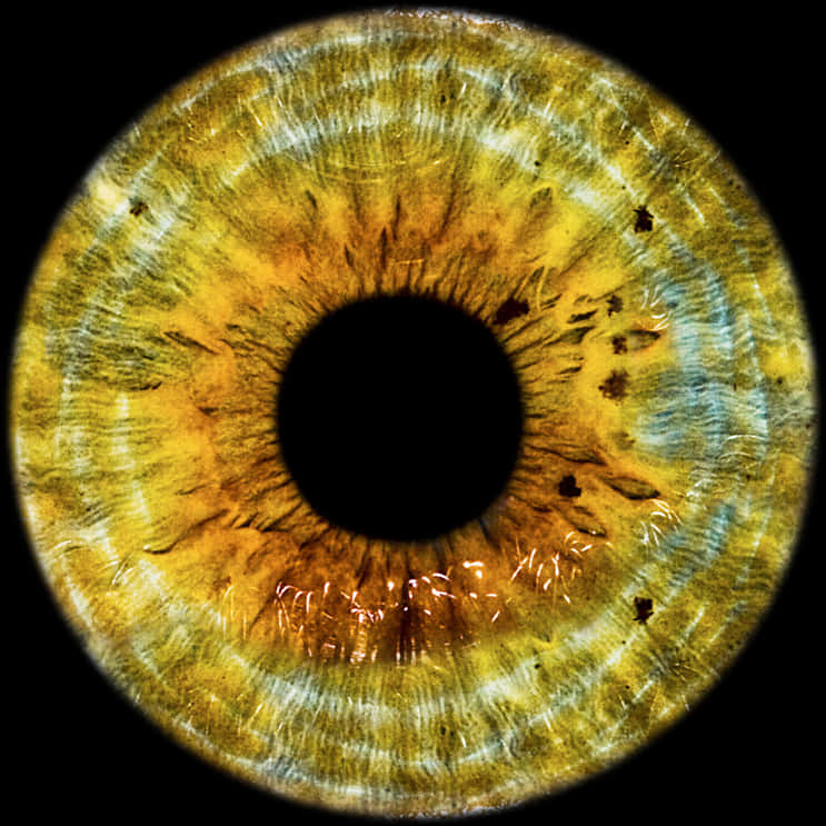 Closeup Human Eye Iris Texture PNG Image