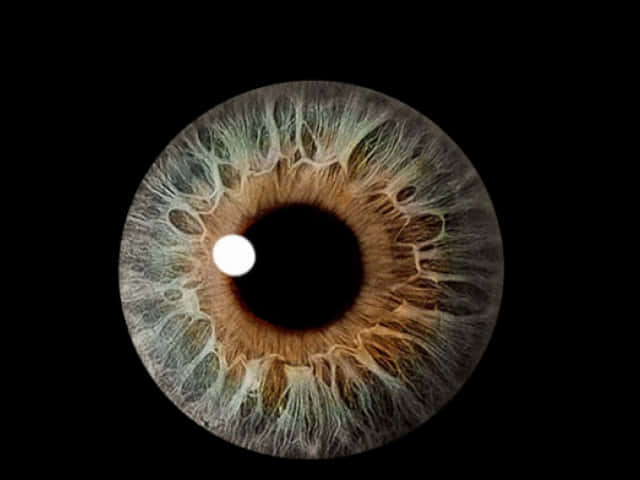 Closeup Human Eye Iris Texture PNG Image