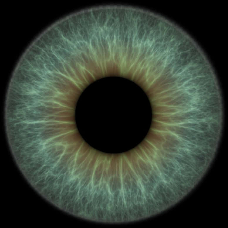 Closeup Human Iris Texture PNG Image