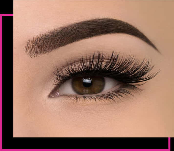 Closeup Perfect Eyebrowsand Lashes PNG Image