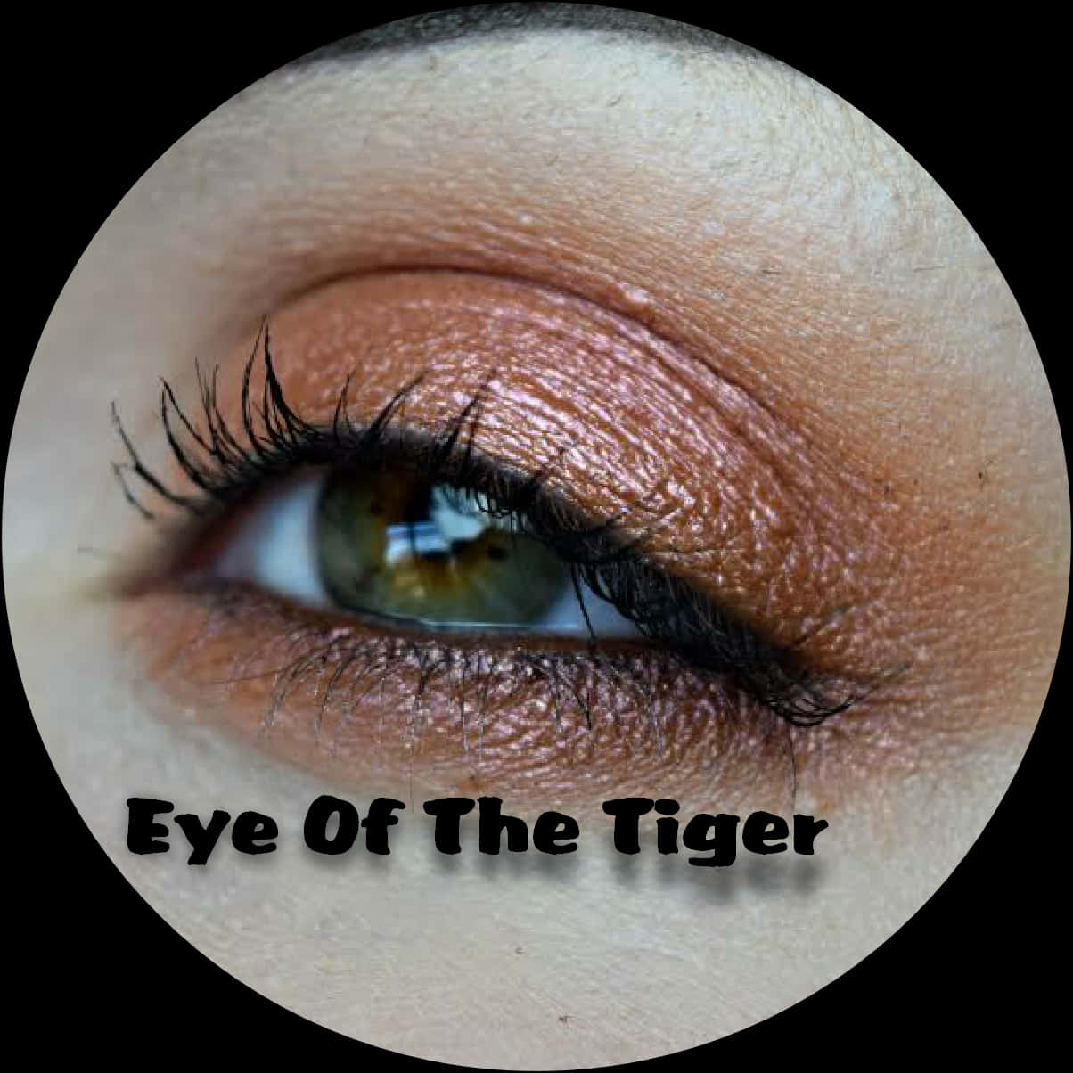 Closeupof Human Eyewith Makeup PNG Image