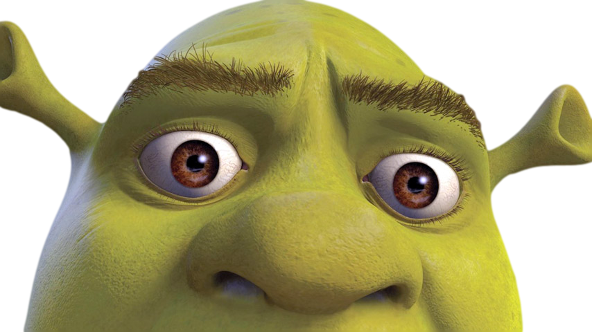 Closeupof Shrek Face PNG Image