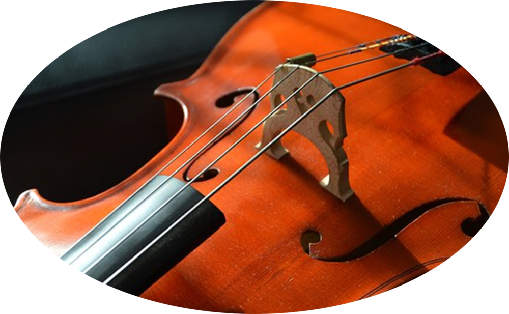 Closeupof Violinand Bow PNG Image