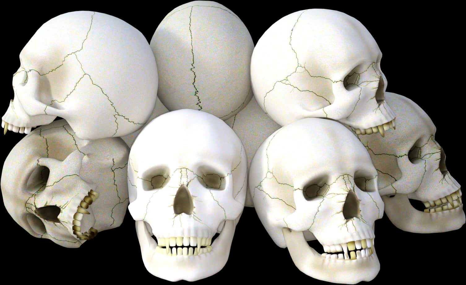 Clusterof Human Skulls PNG Image