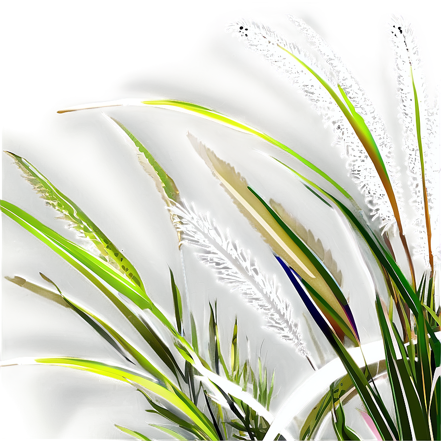 Coastal Ornamental Grass Png Xfs PNG Image