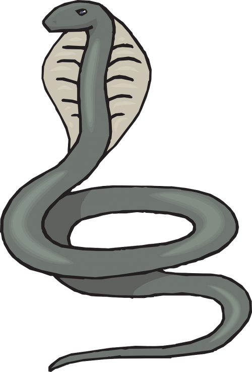 Cobra Illustration.png PNG Image