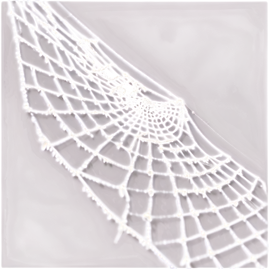 Cobweb Detail Closeup Png Abo PNG Image