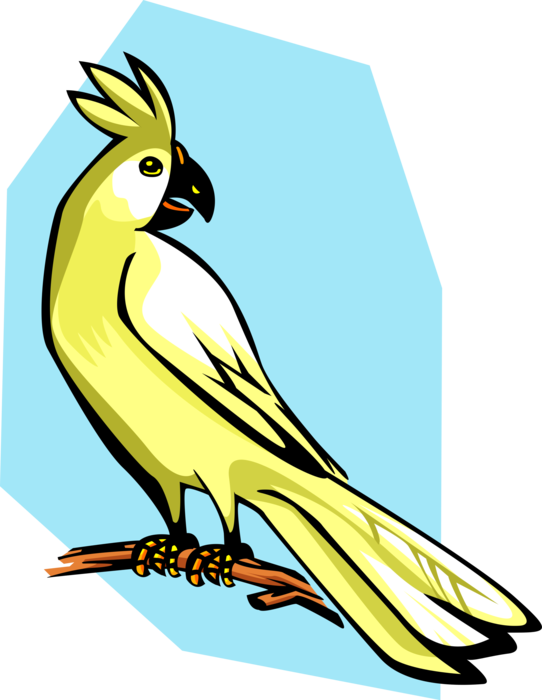 Cockatoo Cartoon Illustration PNG Image