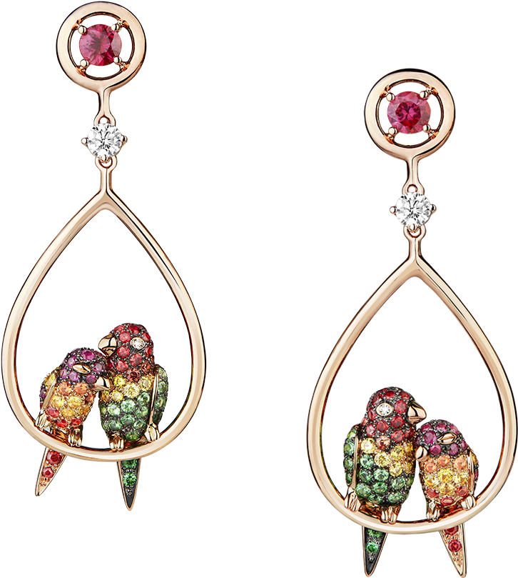 Cockatoo Gemstone Earrings PNG Image