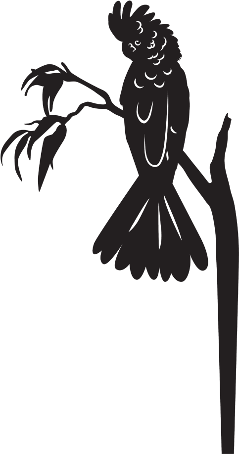 Cockatoo Silhouetteon Branch PNG Image