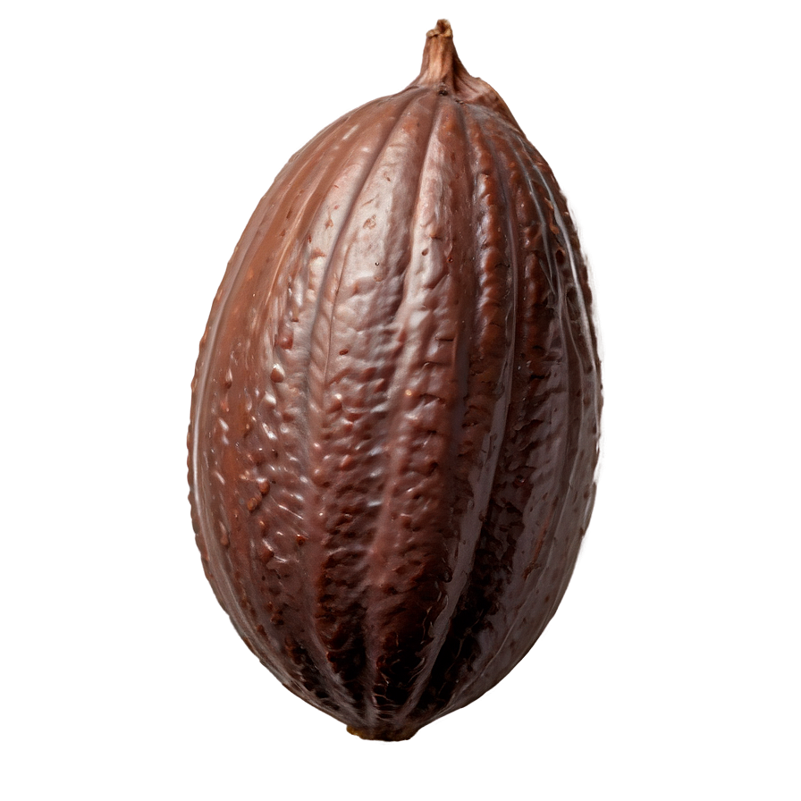 Cocoa B PNG Image