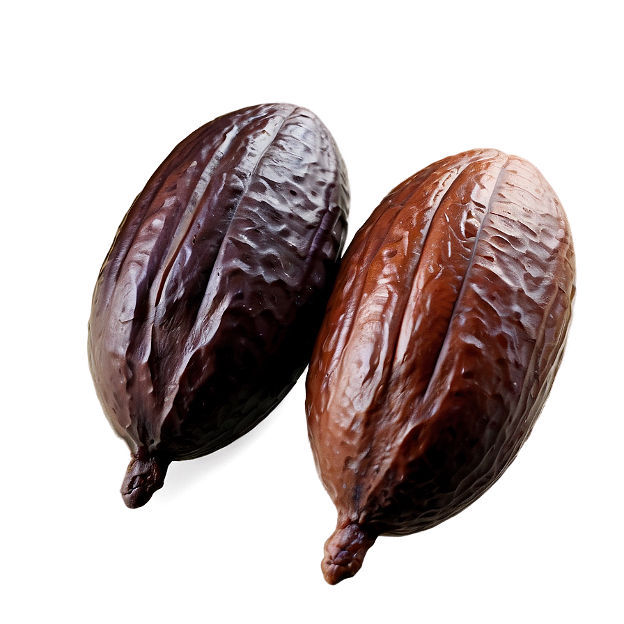 Cocoa Bean Roasting Png 06292024 PNG Image