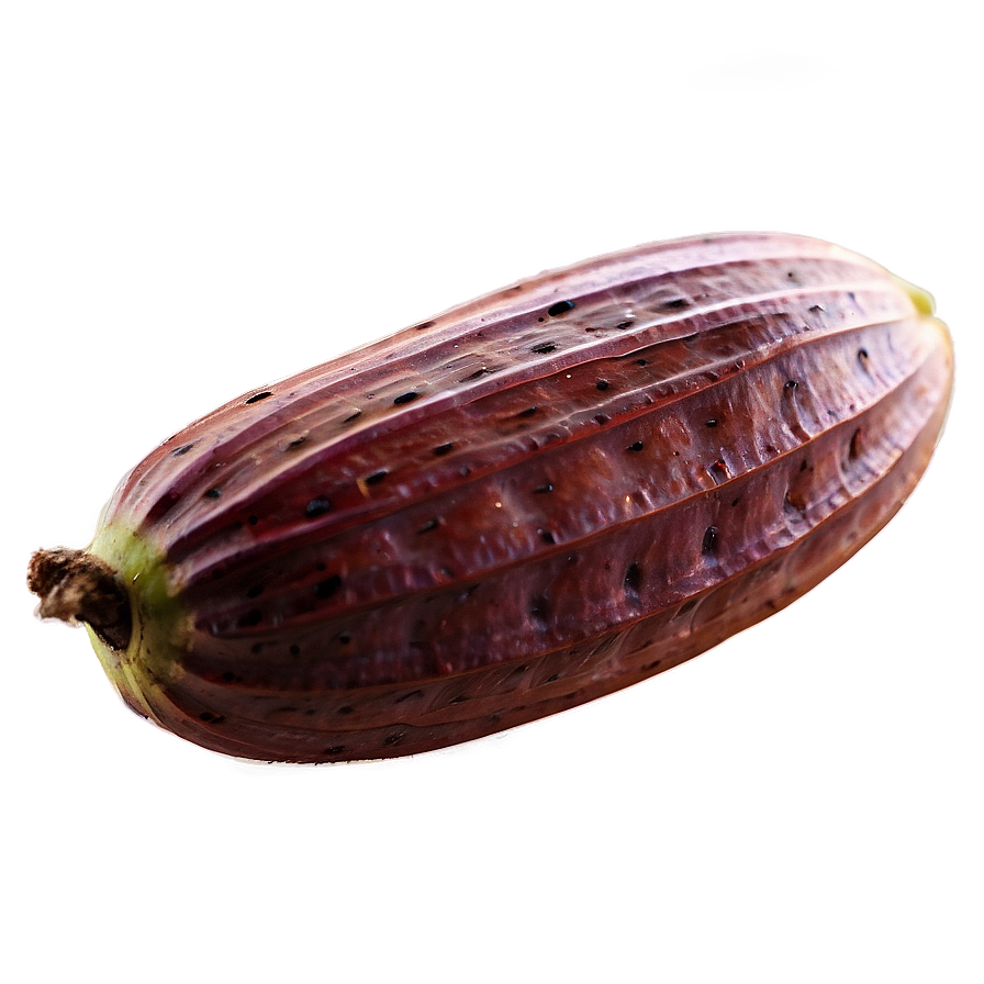 Cocoa Pods Harvest Png Gal71 PNG Image