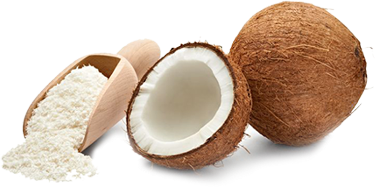 Coconutand Coconut Flour PNG Image