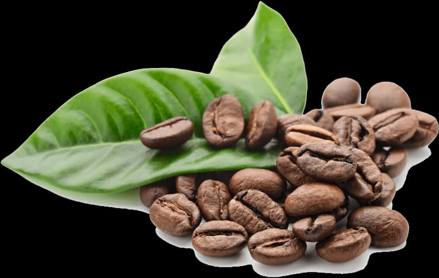 Coffee Beansand Leafon Black Background PNG Image