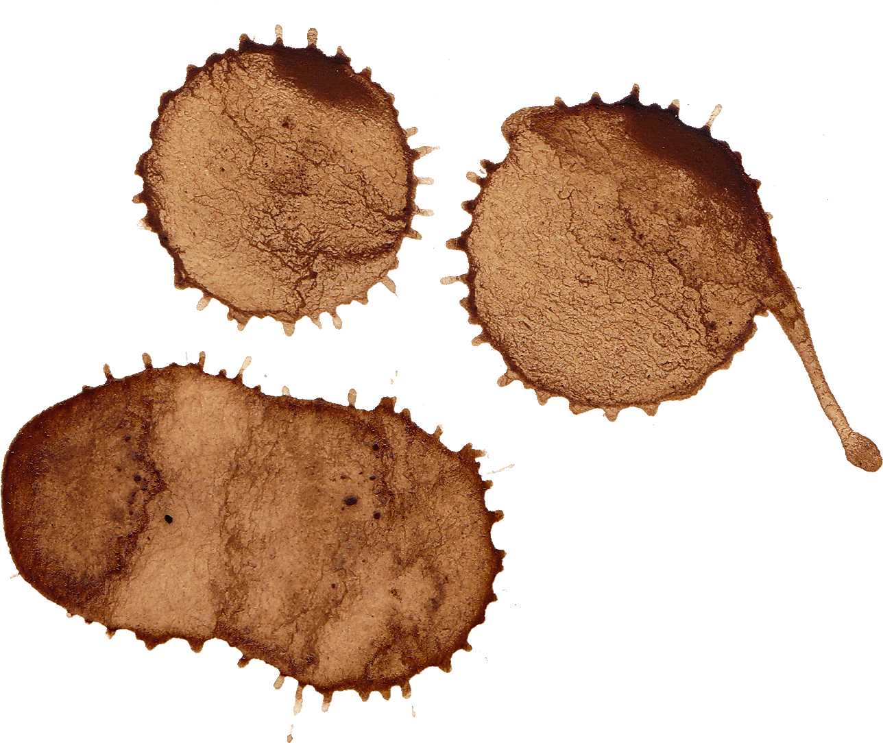 Coffee Stain Trio.png PNG Image