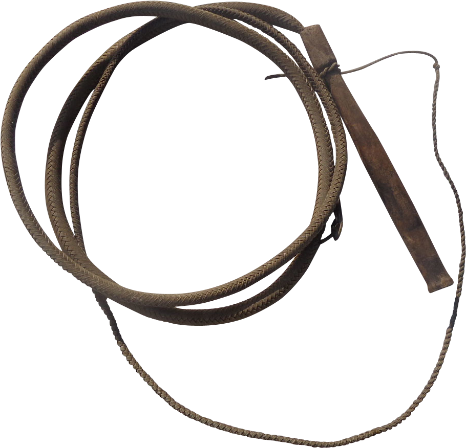 Coiled Leather Whip PNG Image