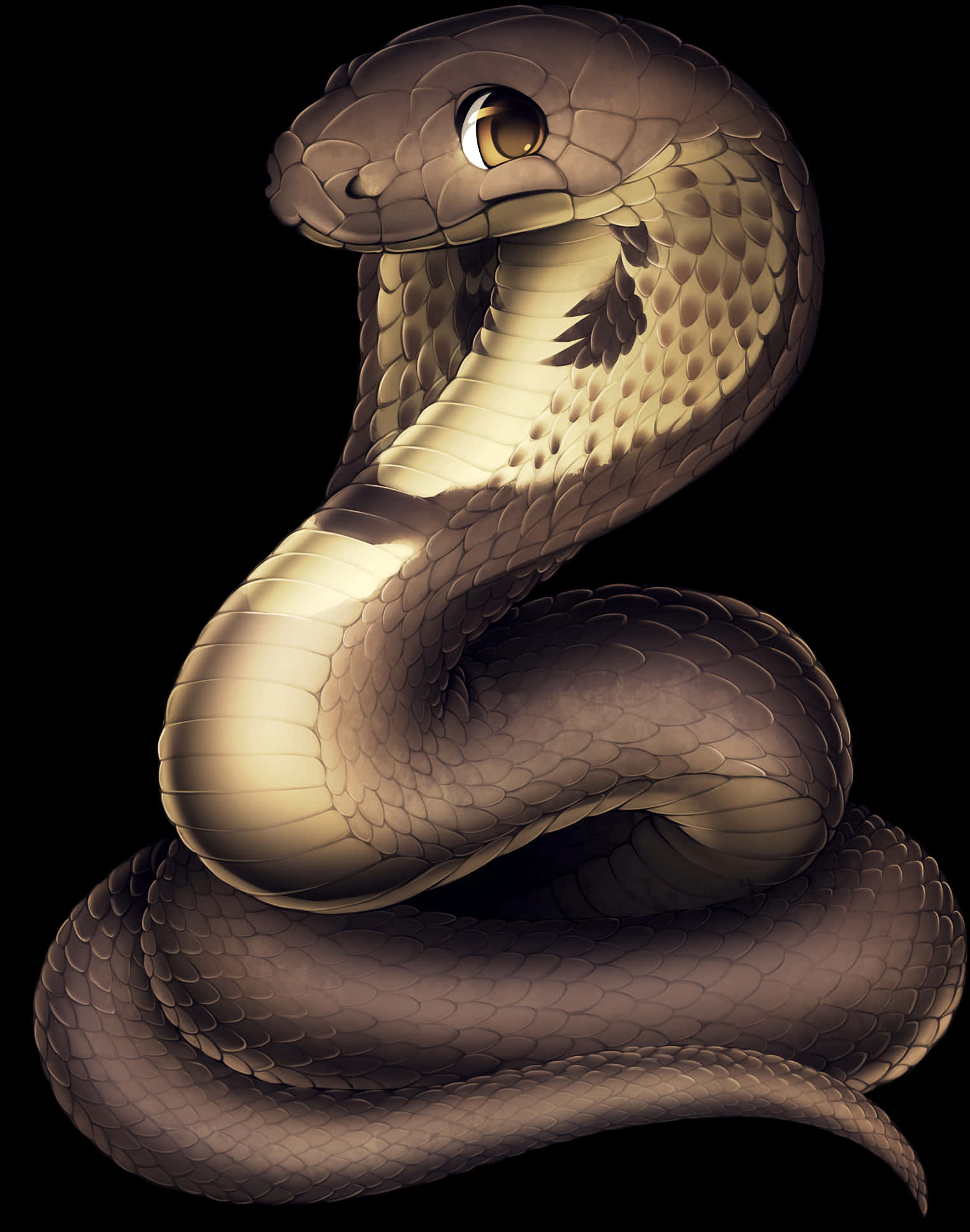 Coiled Snake Illustration PNG Image