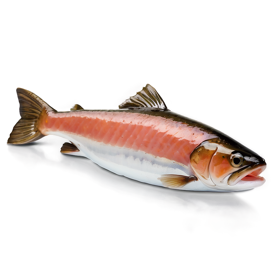 Cold Smoked Salmon Png Les PNG Image