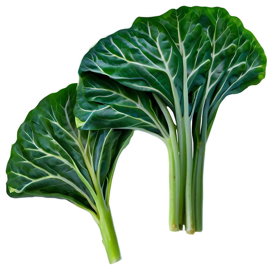 Collard Greens A PNG Image