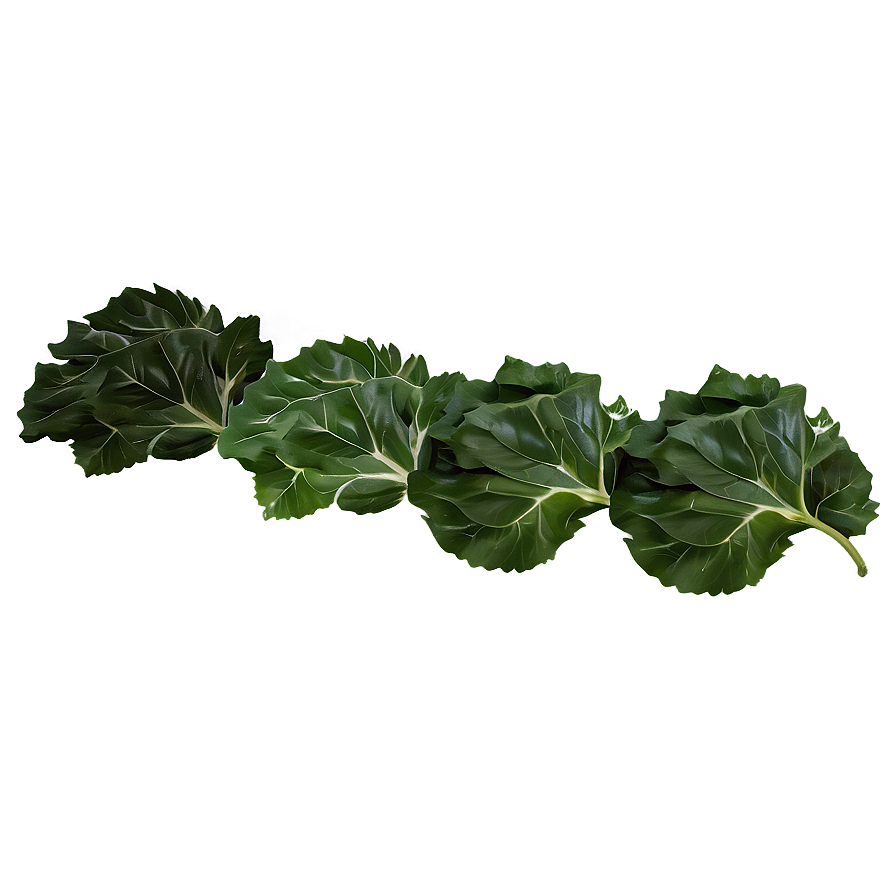 Collard Greens And Rice Png 06252024 PNG Image