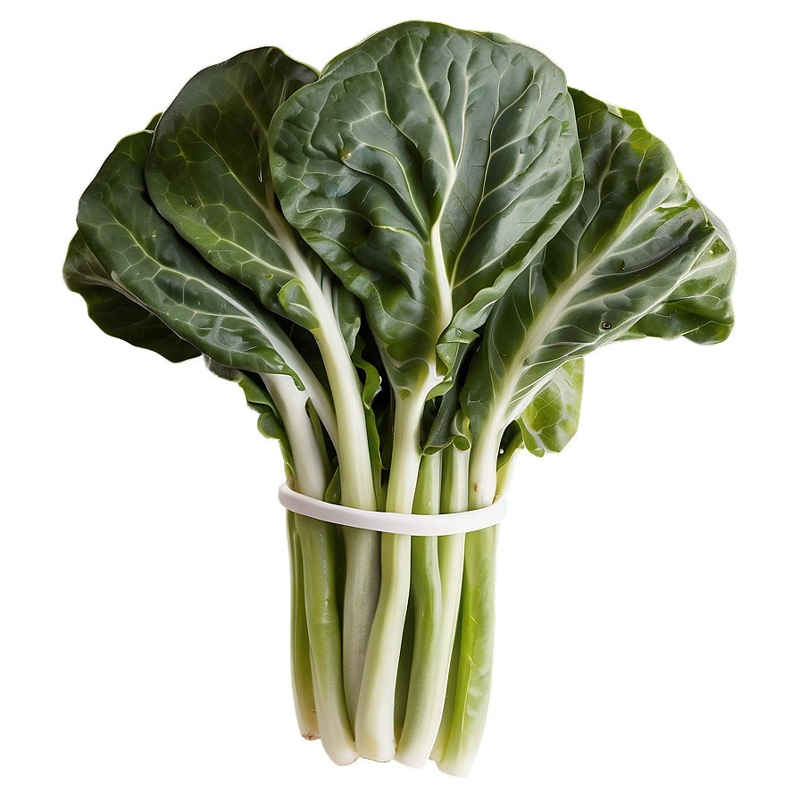 Collard Greens Clipart Png 06252024 PNG Image