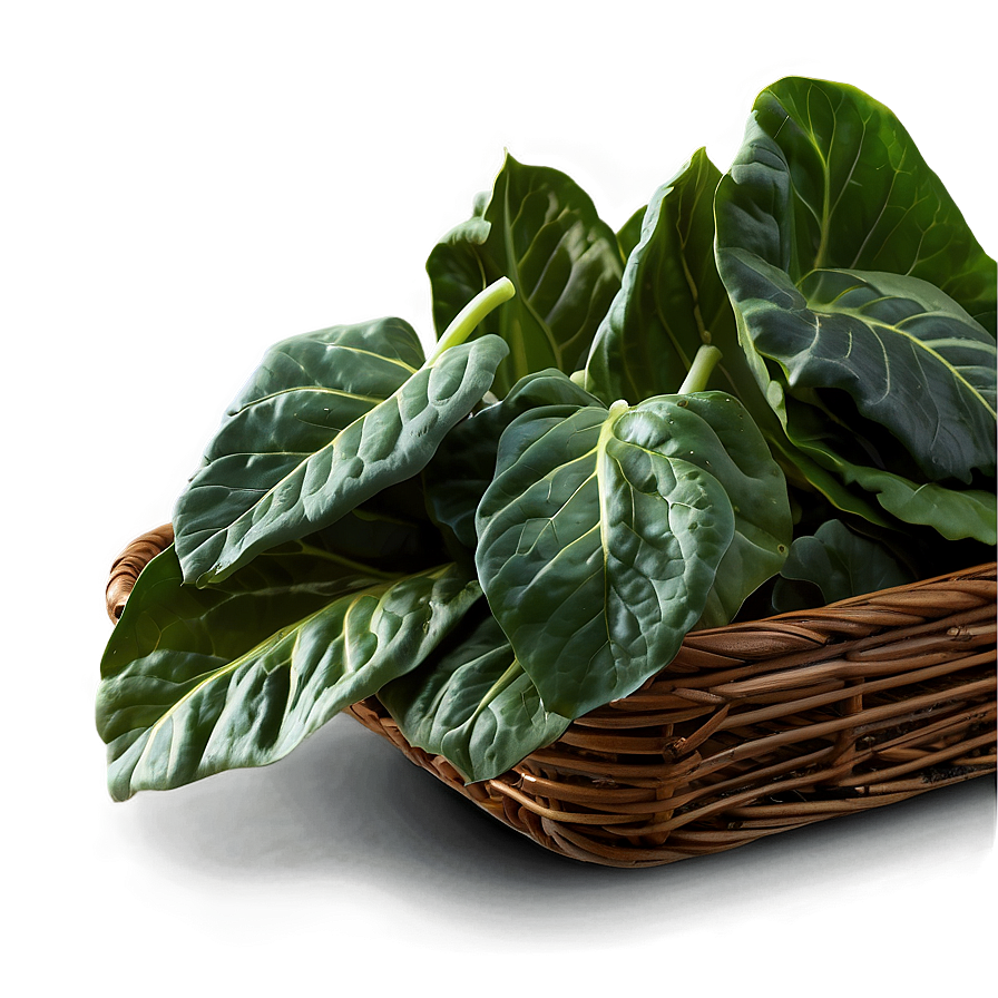 Collard Greens Clipart Png Pds PNG Image